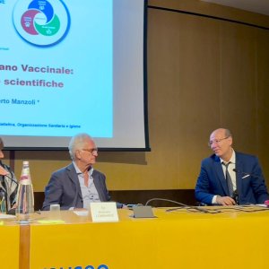 2. ceccagnoli lombardi manzoli